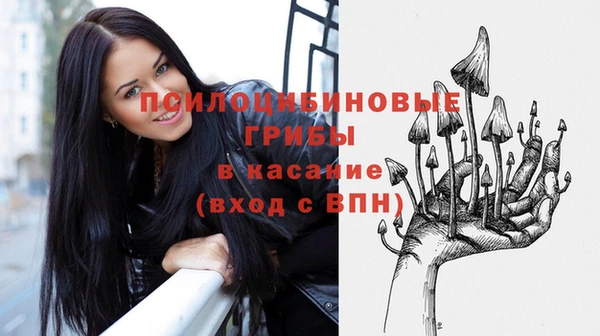 первитин Белокуриха