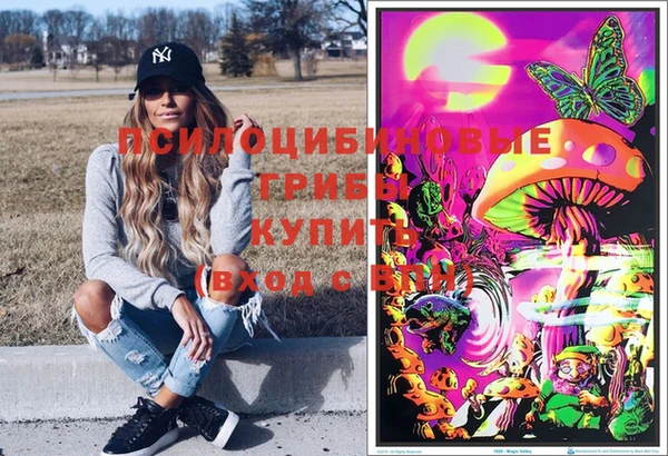 СК Беломорск