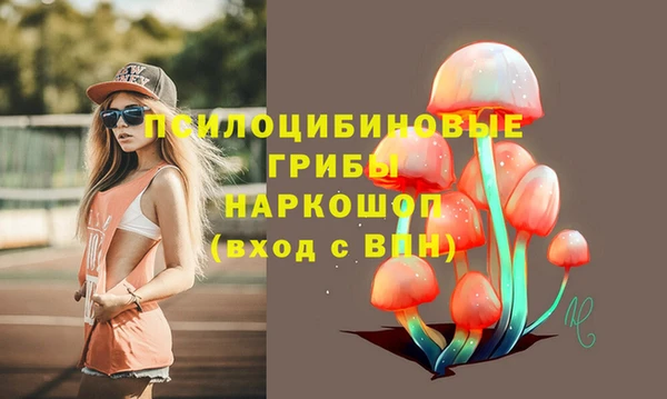 первитин Белокуриха